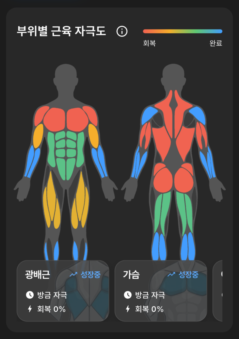 Muscle Heatmap